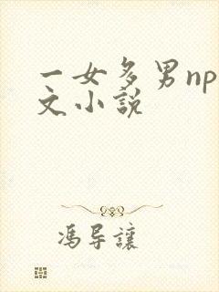 一女多男np爽文小说