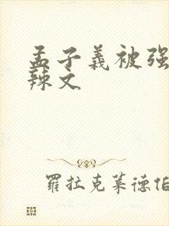 孟子义被强h肉辣文