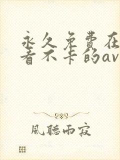 永久免费在线观看不卡的av