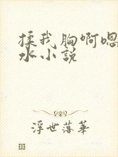 揉我胸啊嗯～出水小说
