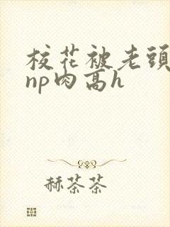 校花被老头强迫np肉高h