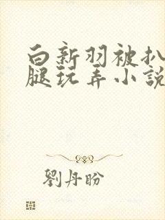 白新羽被扒开双腿玩弄小说封面