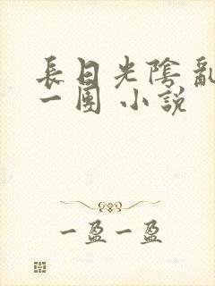 长日光阴 乱作一团 小说
