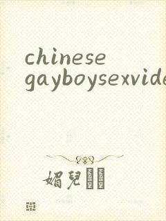 chinesegayboysexvideo