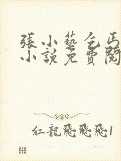 张小艺乞丐奇缘小说免费阅读封面