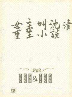 女主叫沈清辞的重生小说