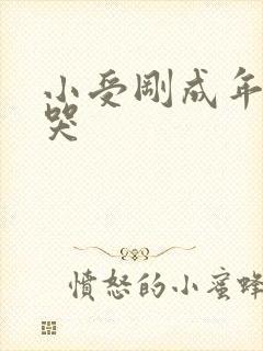 小受刚成年被艹哭
