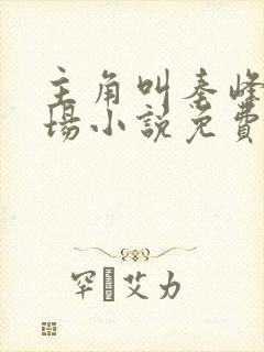 主角叫秦峰的官场小说免费阅读