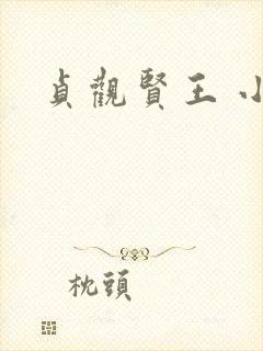 贞观贤王 小说
