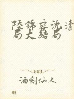 陆锦容沈清羽结局大结局