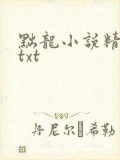 黜龙小说精校版txt