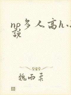 np多人高h小说封面