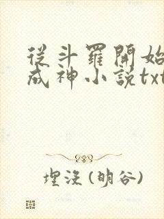 从斗罗开始逆天成神小说txt封面