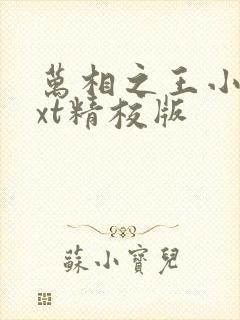 万相之王小说txt精校版封面