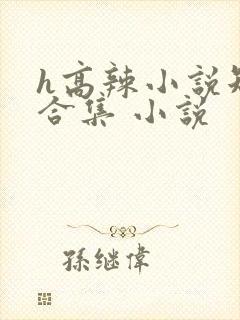h高辣小说短文合集 小说