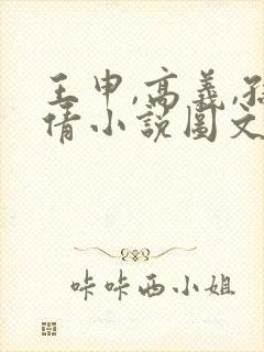 王申,高义,孙倩小说图文在线阅读