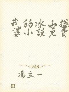 我的冰山总裁老婆小说免费