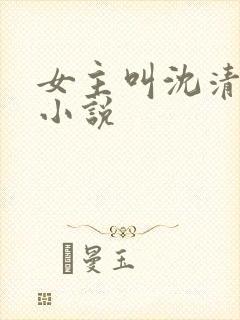 女主叫沈清禾的小说封面