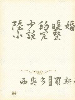 陆少的暖婚新妻小说完整封面