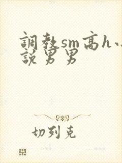 调教sm高h小说男男