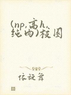 (np,高h,纯肉)校园封面