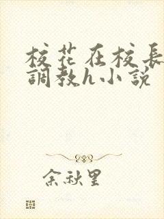 校花在校长室被调教h小说
