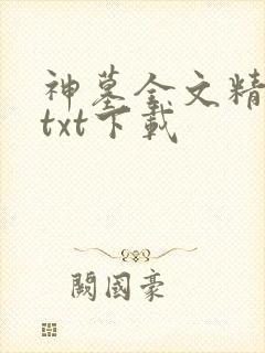 神墓全文精校版txt下载