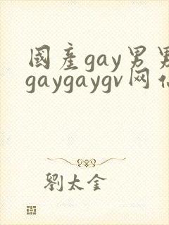 国产gay男男gaygaygv网站