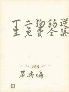丁二狗的逆袭人生免费全集