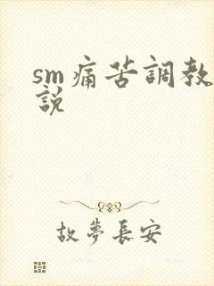 sm痛苦调教小说