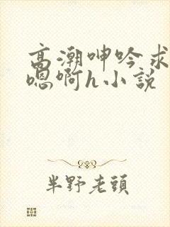高潮呻吟求饶h嗯啊h小说