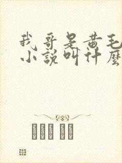 我哥是黄毛原著小说叫什么名字