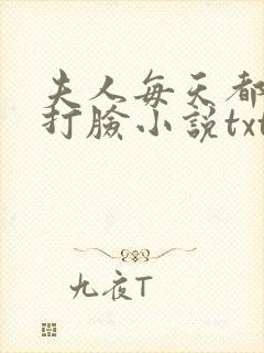 夫人每天都在线打脸小说txt