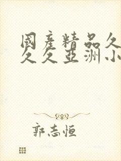 国产精品久久久久久亚洲小说