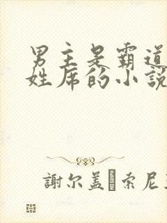 男主是霸道总裁姓席的小说