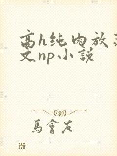 高h纯肉放荡h文np小说