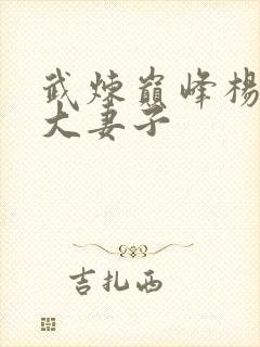 武炼巅峰杨开9大妻子