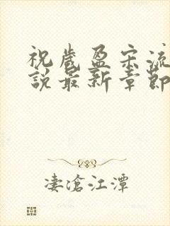 祝岁盈宋流景小说最新章节更新时间封面