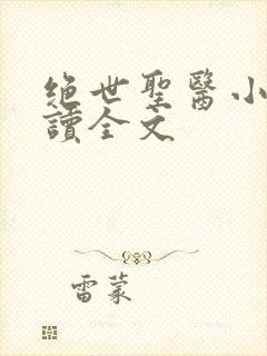 绝世圣医小说阅读全文