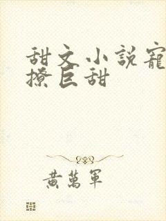 甜文小说宠文巨撩巨甜
