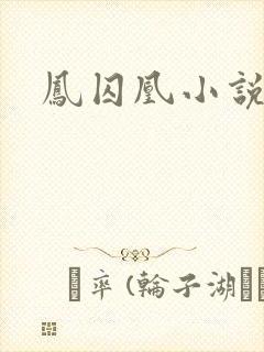 凤囚凰小说