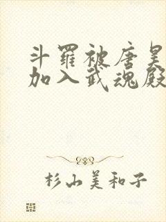 斗罗被唐昊抛弃加入武魂殿的小说封面