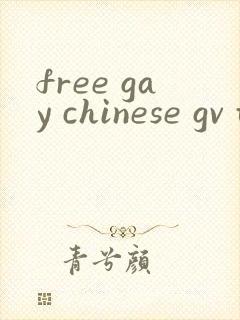free gay chinese gv tv欧美封面