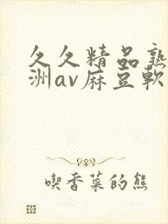 久久精品熟女亚洲av麻豆软件