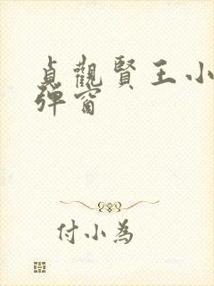 贞观贤王小说无弹窗