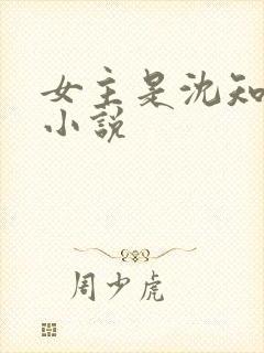 女主是沈知夏的小说