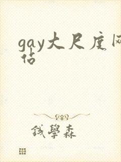 gay大尺度网站
