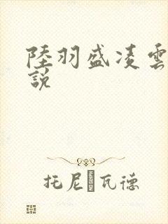 陆羽盛凌云的小说封面