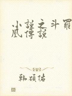小说之斗罗之龙凰传说