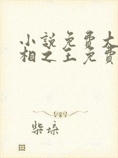 小说免费大全万相之王免费阅读